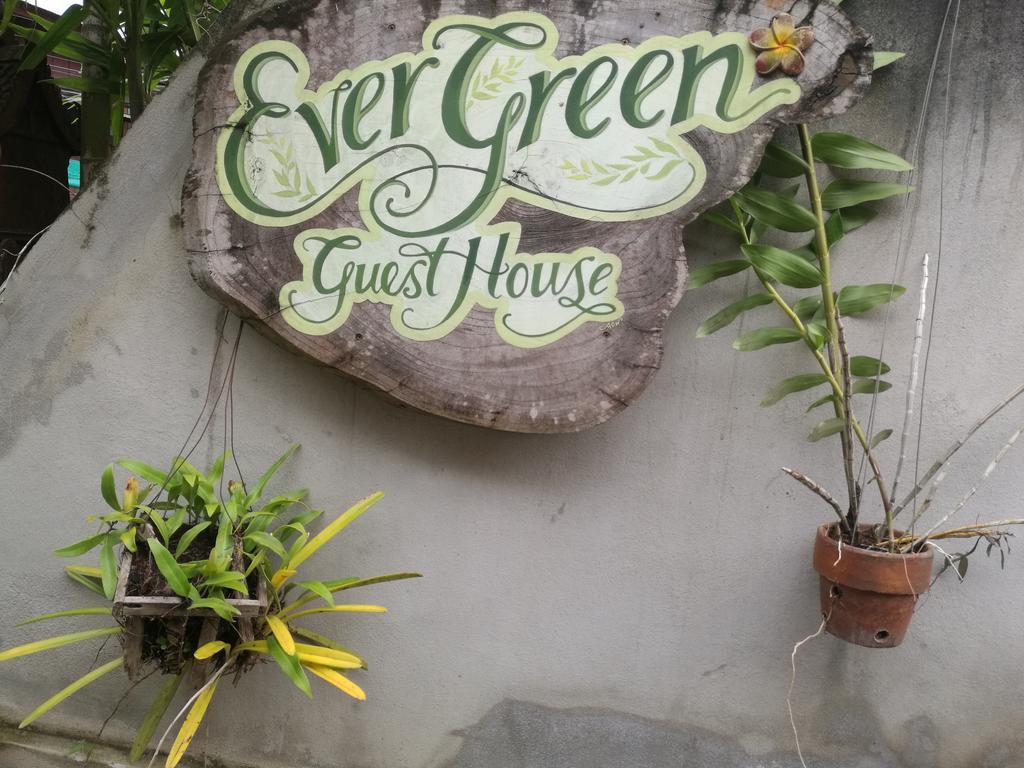 Ever Green Guest House - Sha Plus Pai Zewnętrze zdjęcie